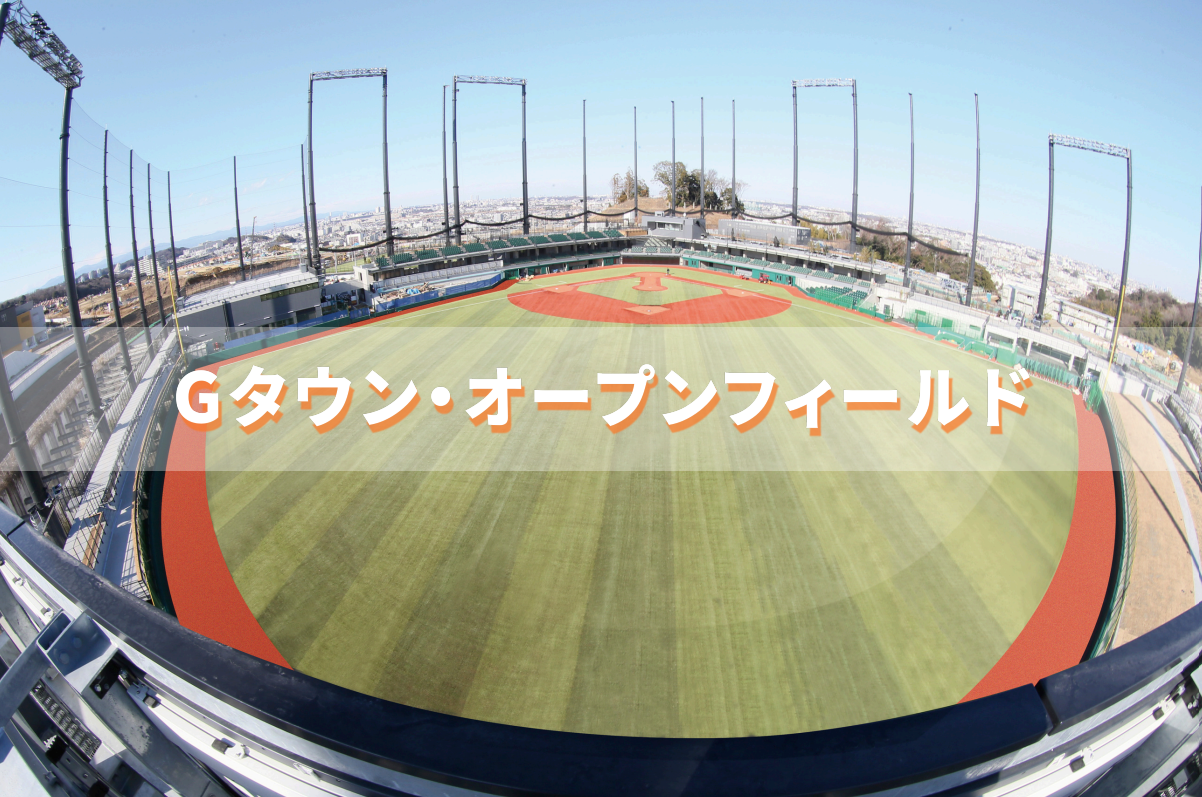Gタウン・オープンフィールド