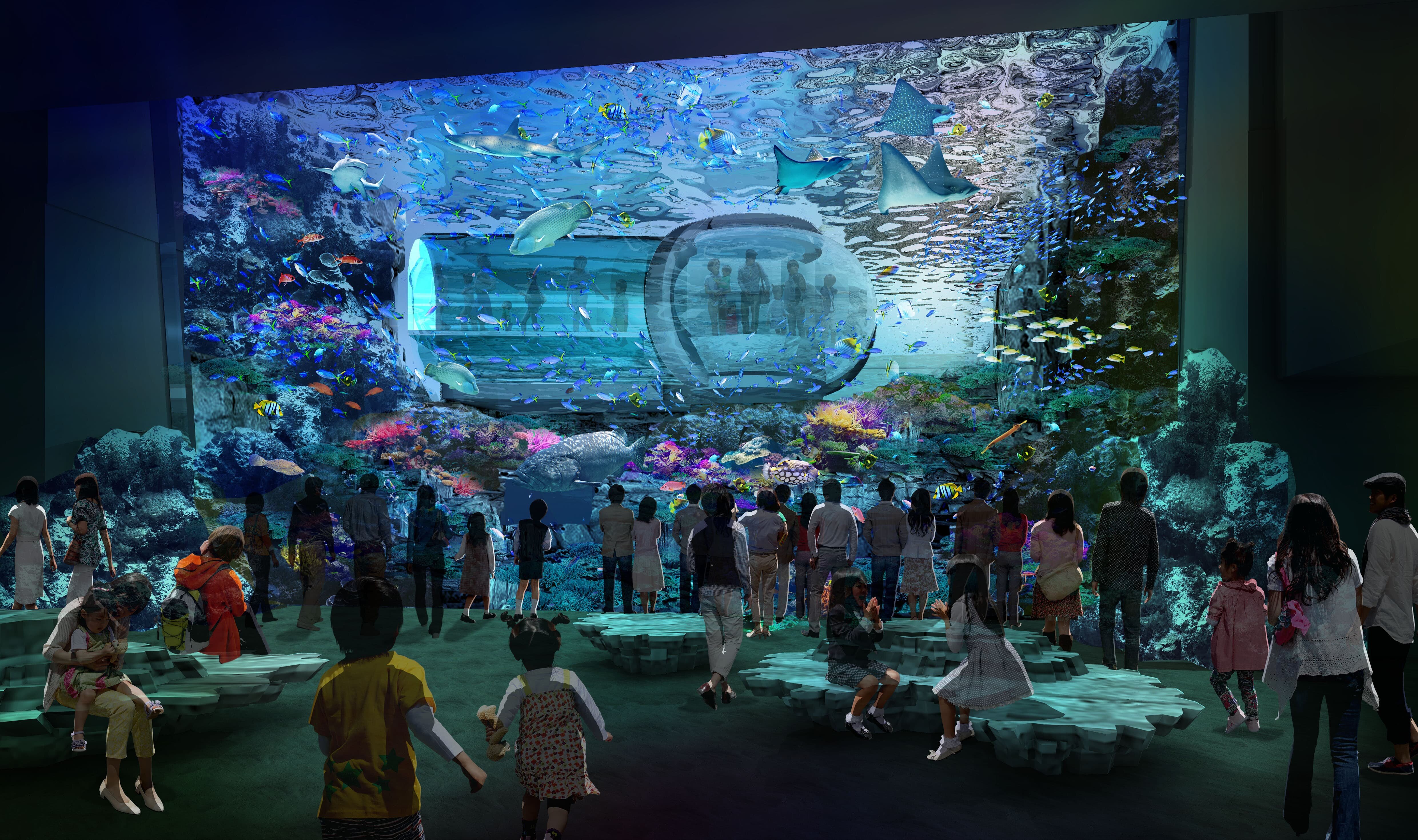 新水族館　サンゴ礁の保全等に関する包括連携協定を締結